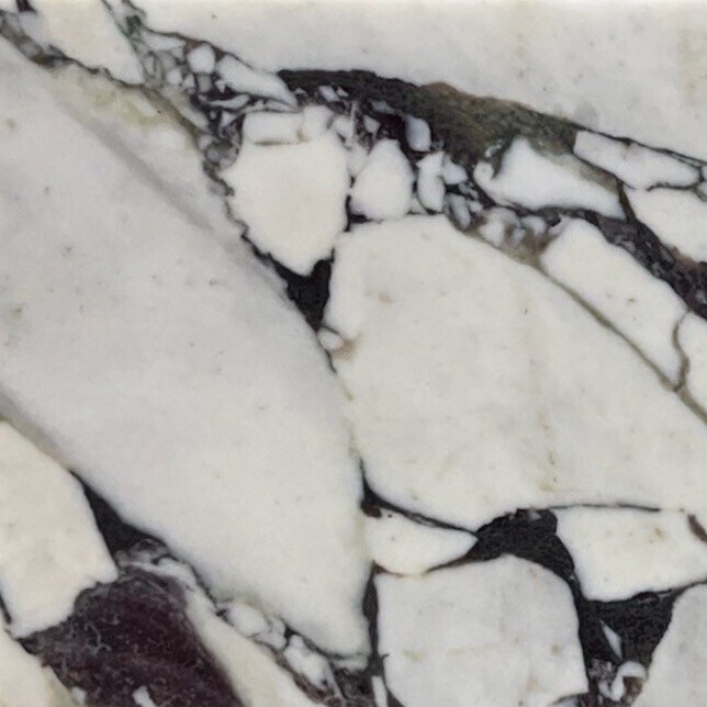 calacatta viola 12x24 up close cropped