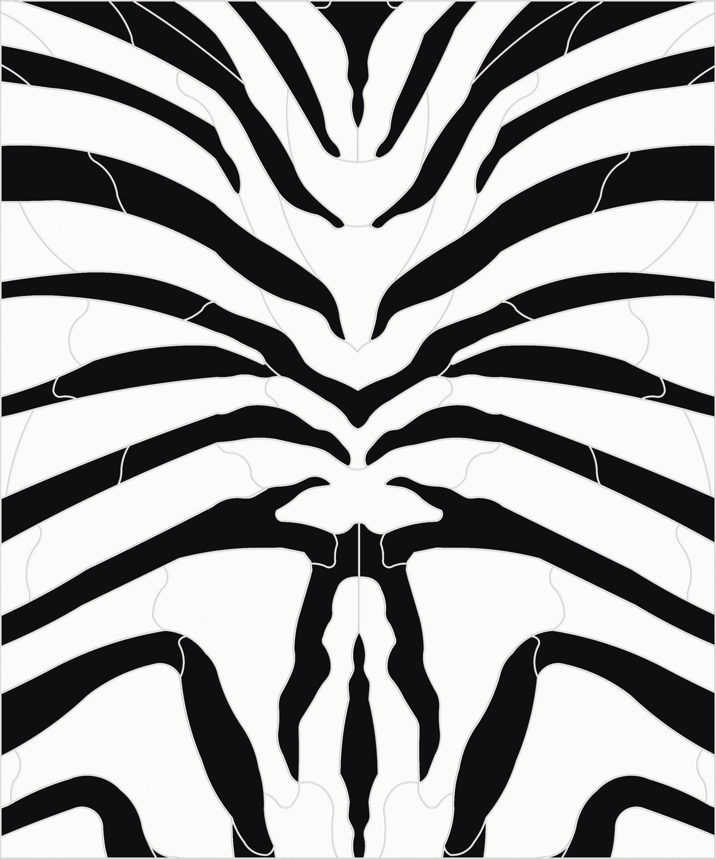 ZEBRA_04
