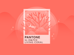 Pantone Makes a Splash with Living Coral: How to Incorporate the Vibrant Color